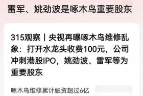 齐论电商精搜（齐论电商受害者）