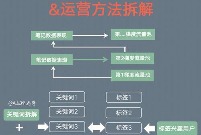 小红书电商运营教程书 - 小红书电商运营的主要工作内容 小红书电商运营教程书 - 小红书电商运营的主要工作内容
