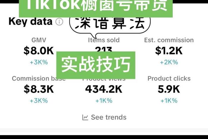 tiktok电商带货 tiktok电商带货白银店铺
