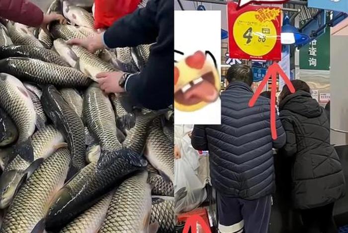 电商鱼是什么(电商鱼是什么意思) 电商鱼是什么(电商鱼是什么意思)