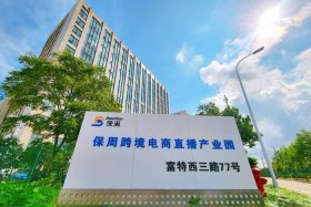 双域电商入口 - 双城电商产业园