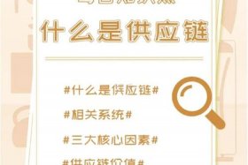 供应链电商是做什么的（供应链电商是做什么的呢）