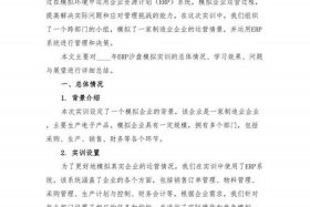 erp跨境电商沙盒 跨境电商综合实训平台erp沙盒实训报告