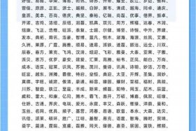 电商五行属什么,适合起什么名字、电商五行属什么,适合起什么名字好听