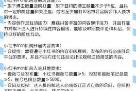 小红书电商入驻条件；小红书电商入驻条件是什么