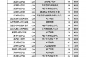 山东电商春考公办大学、山东春考电子商务可以考的大学公办