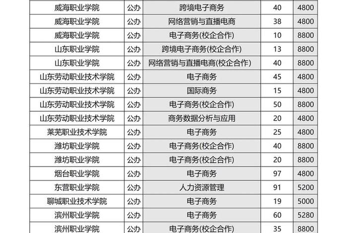 山东电商春考公办大学、山东春考电子商务可以考的大学公办
