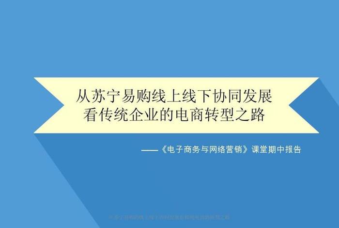 电商转型之路 - 电商平台的转型之路