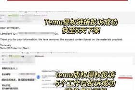 temo跨境电商看不懂哪个国家语言 跨境电商看不懂英语怎么办