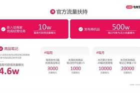 专业电商和平台电商区别是什么、专业电商和平台电商区别是什么呢