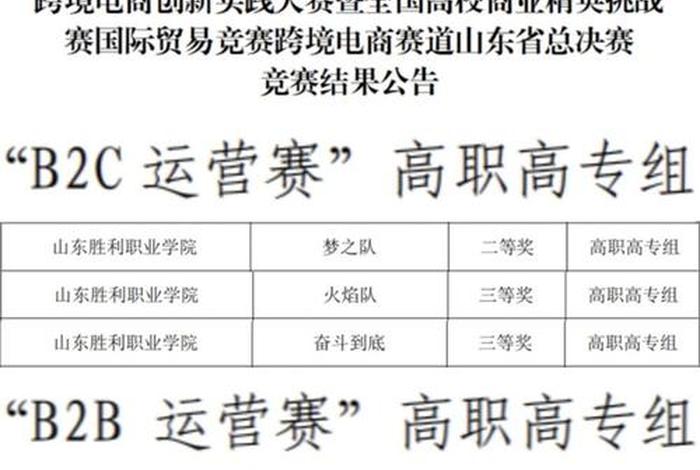 电商山东省省二类比赛(山东省电子商务精英挑战赛) 电商山东省省二类比赛(山东省电子商务精英挑战赛)