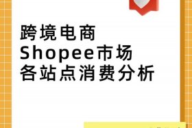作为一名电商学生对国际形势；作为一名电商学生对国际形势的认知