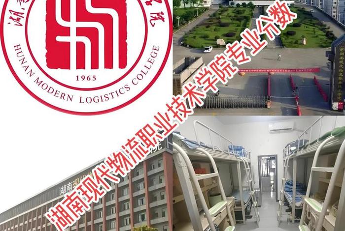 电商物流学院有什么专业 电商物流学院有什么专业好