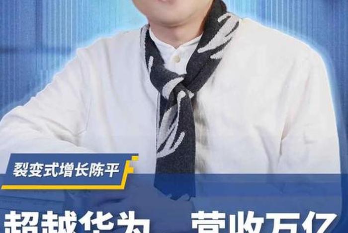 中国第一大电商平台是谁(中国第一大电商平台是谁发明的) 中国第一大电商平台是谁(中国第一大电商平台是谁发明的)