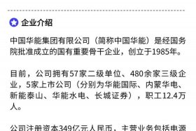 上海华能电商公司官网（上海华能电子商务有限公司官网）