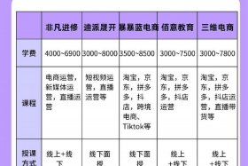 二类电商投放培训、二类电商投放培训方案