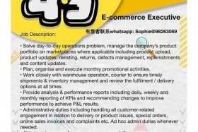 招聘电商运营的要求；招聘电商运营的要求和条件