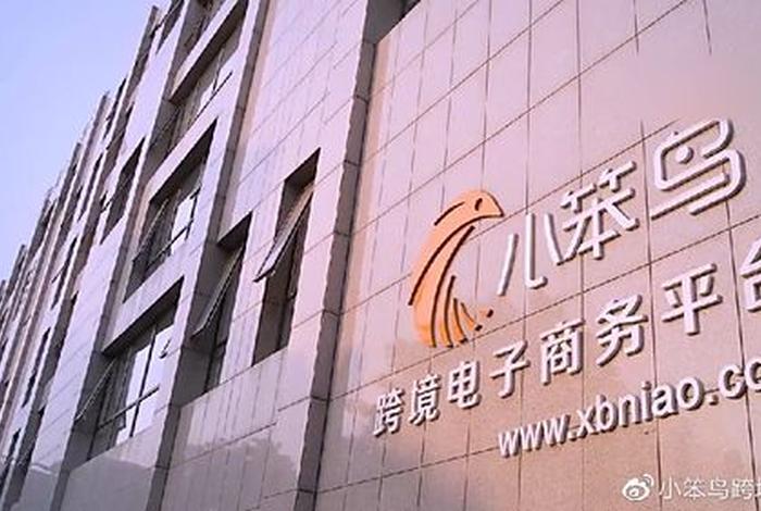 小笨鸟跨境电商平台商品怎么发布;小笨鸟跨境电商怎么样 小笨鸟跨境电商平台商品怎么发布;小笨鸟跨境电商怎么样