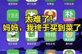 上海线上买菜；上海线上买菜app