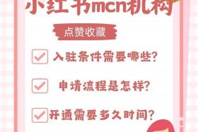 小红书电商入驻开始时间 - 小红书电商入驻开始时间怎么看