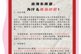 印尼电商排名（印尼电商排名前十）