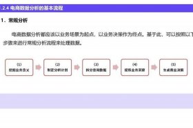 电商平台数据解读；电商平台数据解读ppt