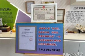 怎么入驻跨境电商平台，入驻跨境电商平台的公司要什么营业执照