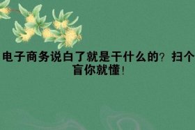 电子商务说白了就是干什么的，电子商务说白了就是干什么的英语
