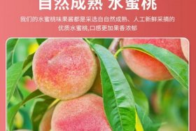 桃子是什么店铺 - 桃子是什么店铺名字