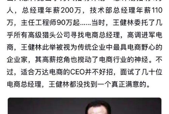 王健林飞凡电商，王健林电商平台