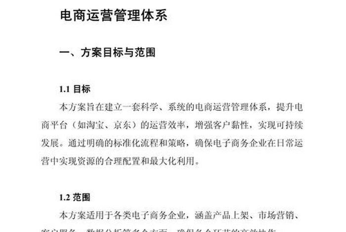 电商营销推广运营、电商营销推广运营方案