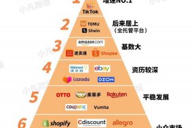 是跨境电商店铺的主要流量来源之一,境外的买家可 跨境电商的买家主要有哪些