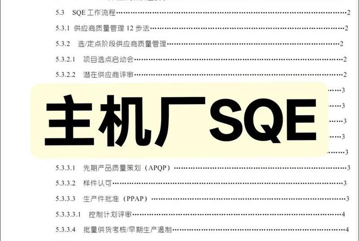 电商sqe - 电商sq是什么意思