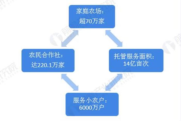 农村电商的发展现状;农村电商的发展现状是什么 农村电商的发展现状;农村电商的发展现状是什么