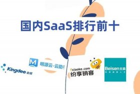 电商saas什么意思 电商saas是什么意思啊