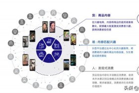 全域兴趣电商模式；全域兴趣电商模式包括