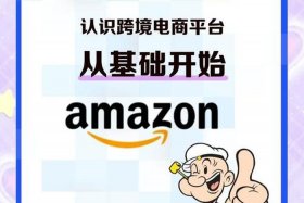 亚马逊电商平台入口，亚马逊电商平台入口官网