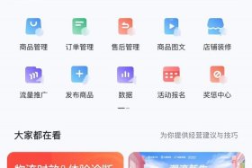 电商收入20万；电商一年收入