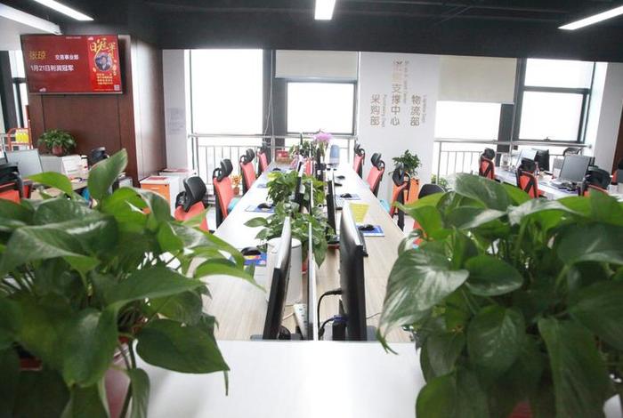 湖南至名电商怎么样、长沙至名电子商务公司怎么样