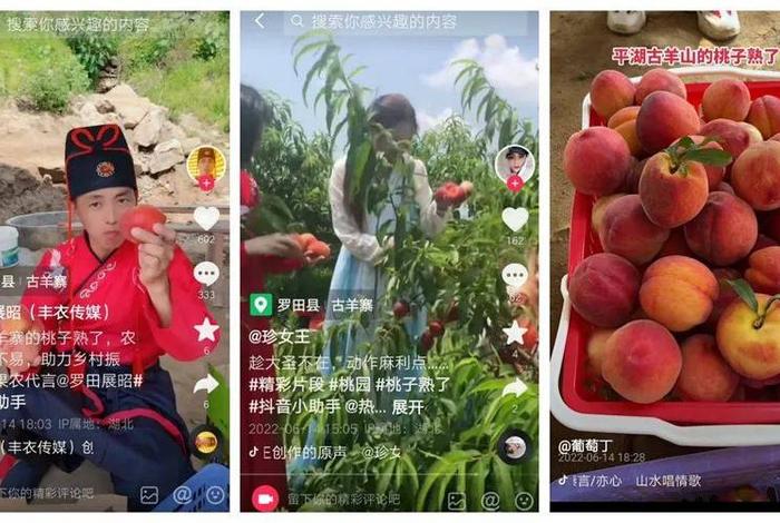 桃子电商运营直播、桃子电商运营直播视频 桃子电商运营直播、桃子电商运营直播视频