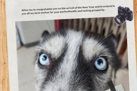 哈士奇软件使用教程、哈士奇软件使用教程视频