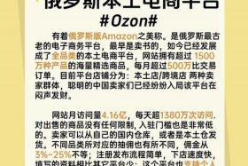 俄罗斯常用的本土电商平台，俄罗斯常用的本土电商平台有哪些