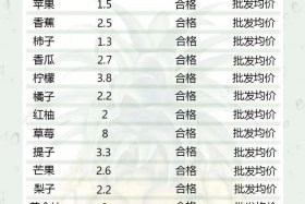 电商批发市场进货渠道、电商批发市场进货渠道是什么