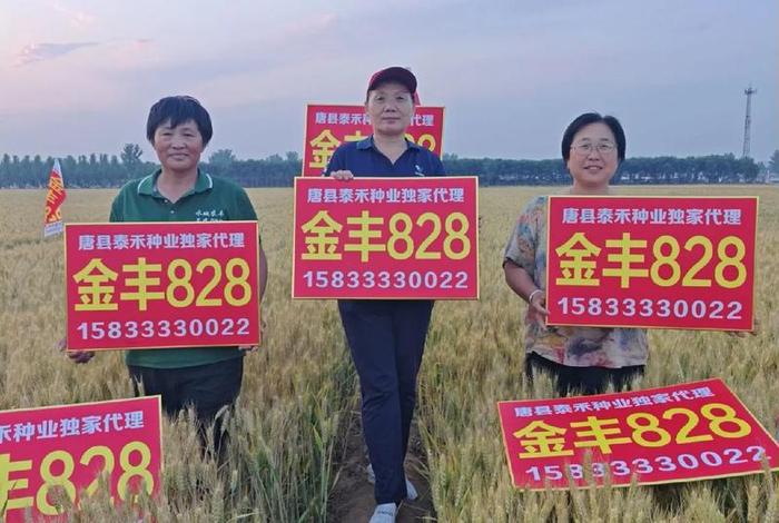 大丰收农资商城农药是正品吗，大丰收农药正规吗