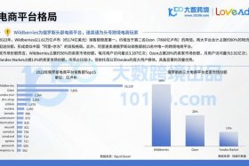 俄罗斯跨境电商发展现状及中俄合作建议叶小伟；俄罗斯在跨境电商的发展情况