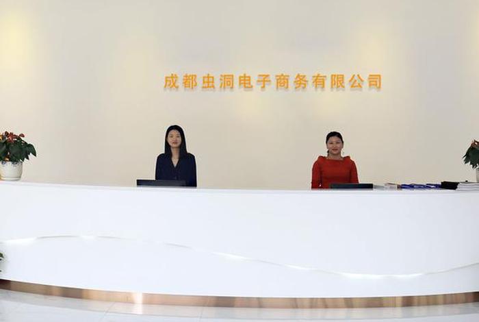 成都做电商的公司;成都做电商的公司排行榜 成都做电商的公司;成都做电商的公司排行榜