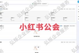 小红书电商入驻网址是什么，小红书电商入驻网址是什么意思