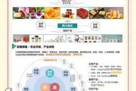 农产品 电商化 农产品电商化好处