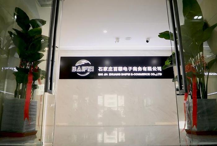 石家庄电商公司有哪些（石家庄电商公司有哪些公司）