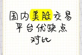 国美电商竞争优势（国美电商竞争优势是什么）